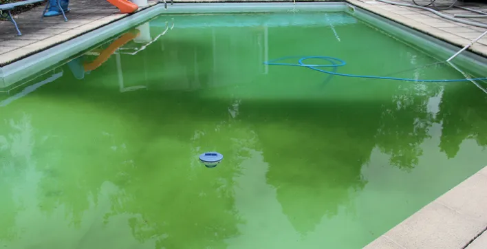 Traitement piscine : l’eau reste verte, pourquoi ?