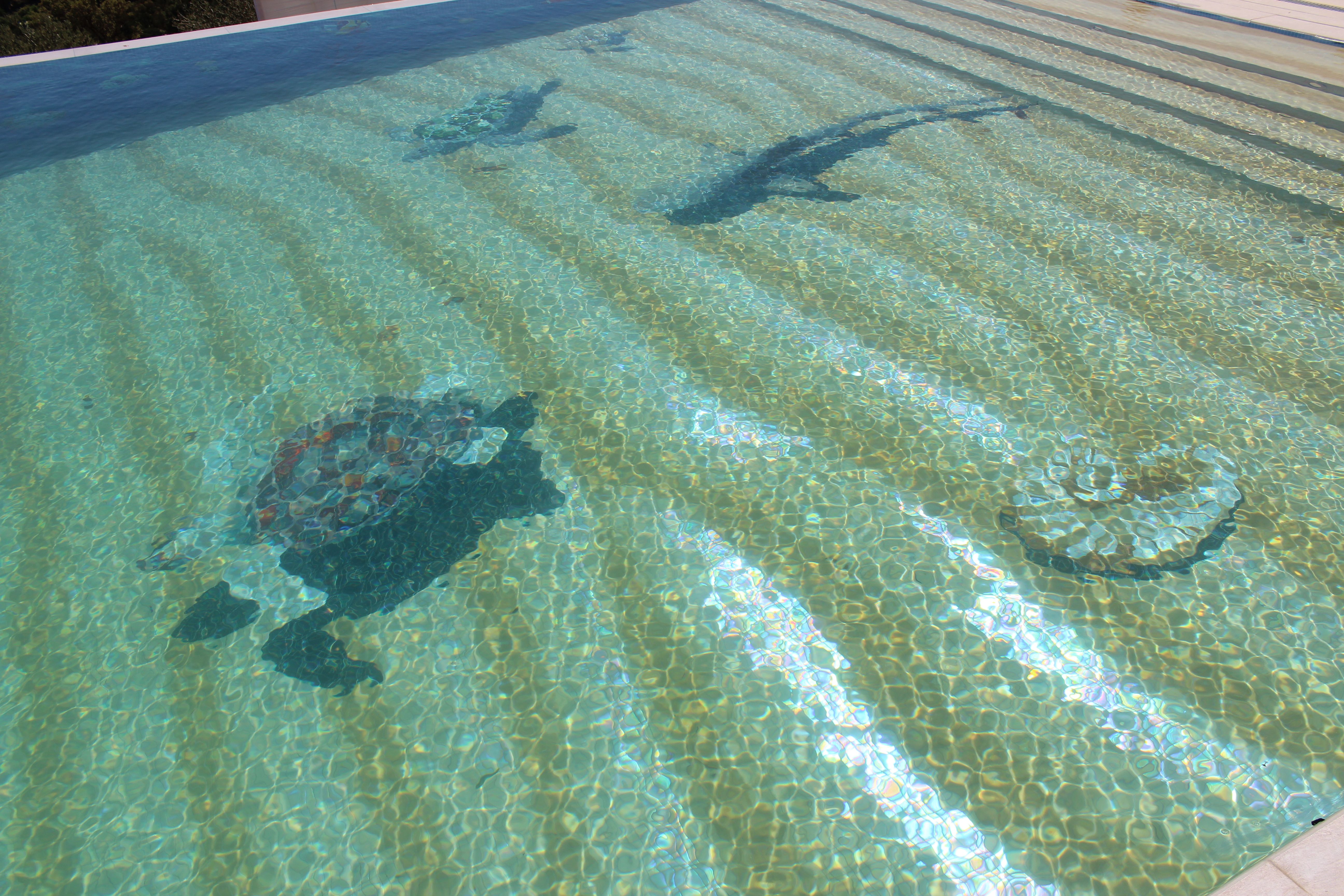 Un fond de piscine décoré avec de la mosaïque