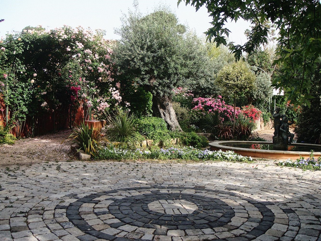 Des plantes autour d'une piscine