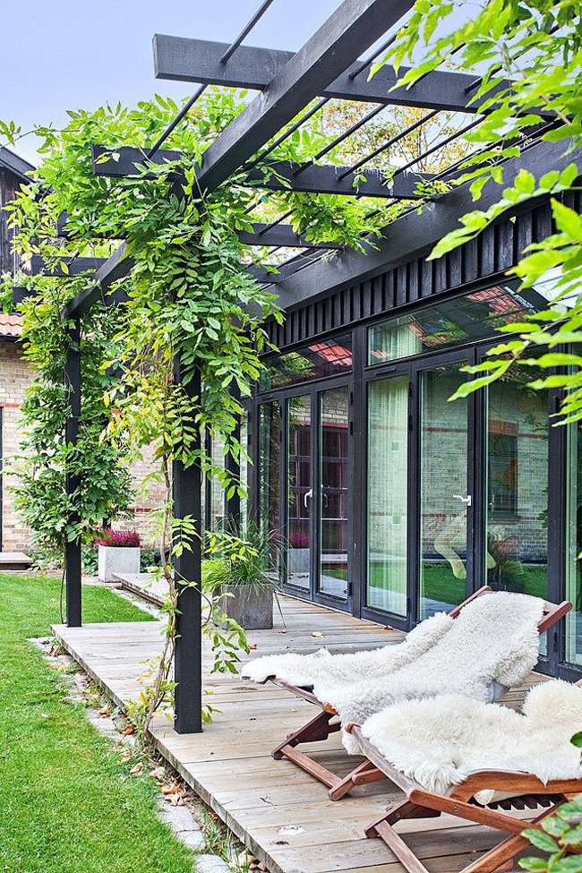 Décorer sa terrasse avec des plantes