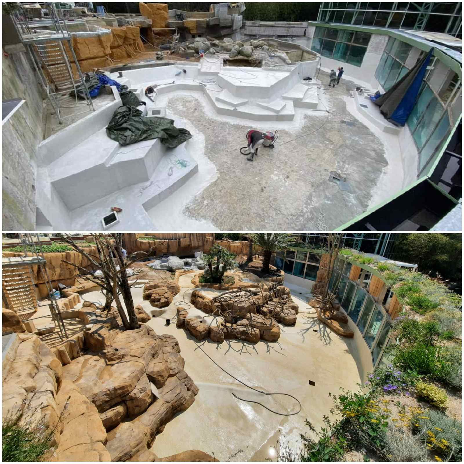 Les travaux du bassin pour loutres du zoo de Palmyre