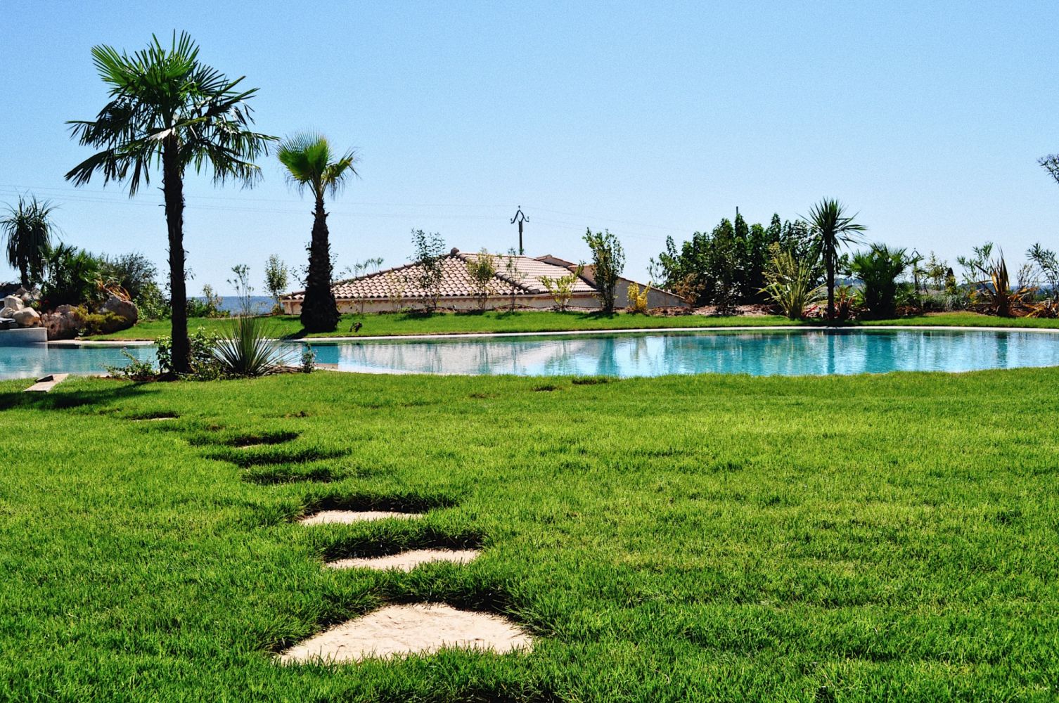 Planter du gazon autour de sa piscine, bonne ou mauvaise idée ?