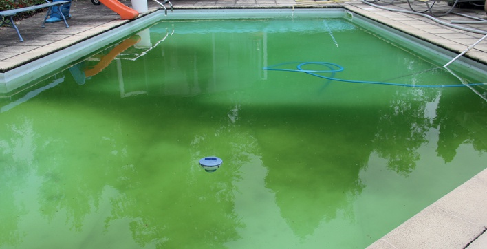 piscine tubulaire eau verte