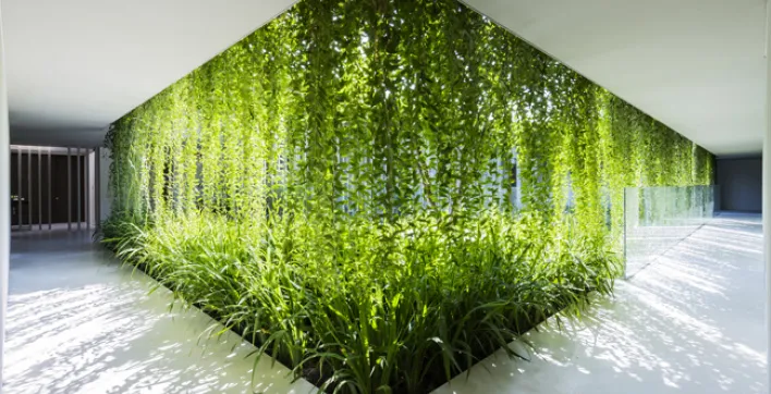 Décorer son extérieur : Trois idées pour une terrasse ombragée