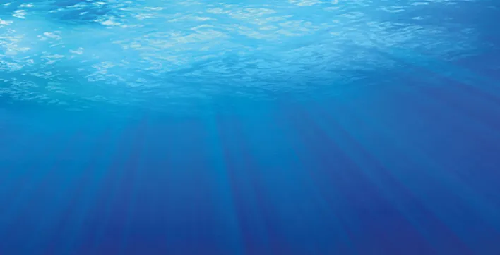 Qu’est-ce qu’une piscine au sel et comment ça marche ?