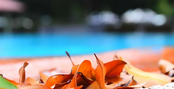 L’entretien des piscines désormais facturable comme service à la personne