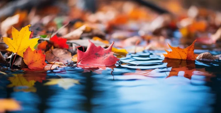 Pourquoi est-il important d’hiverner sa piscine ?