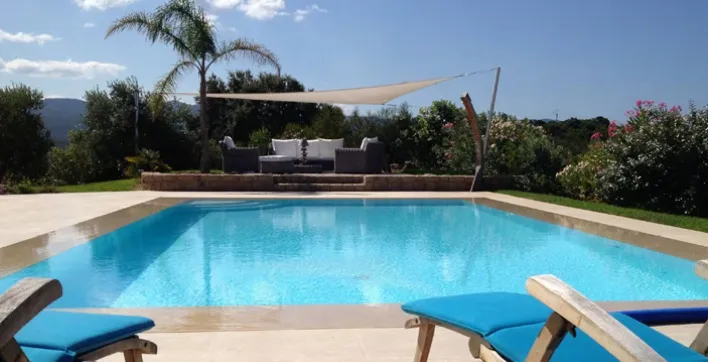 Végétation : Comment aménager les alentours de votre piscine