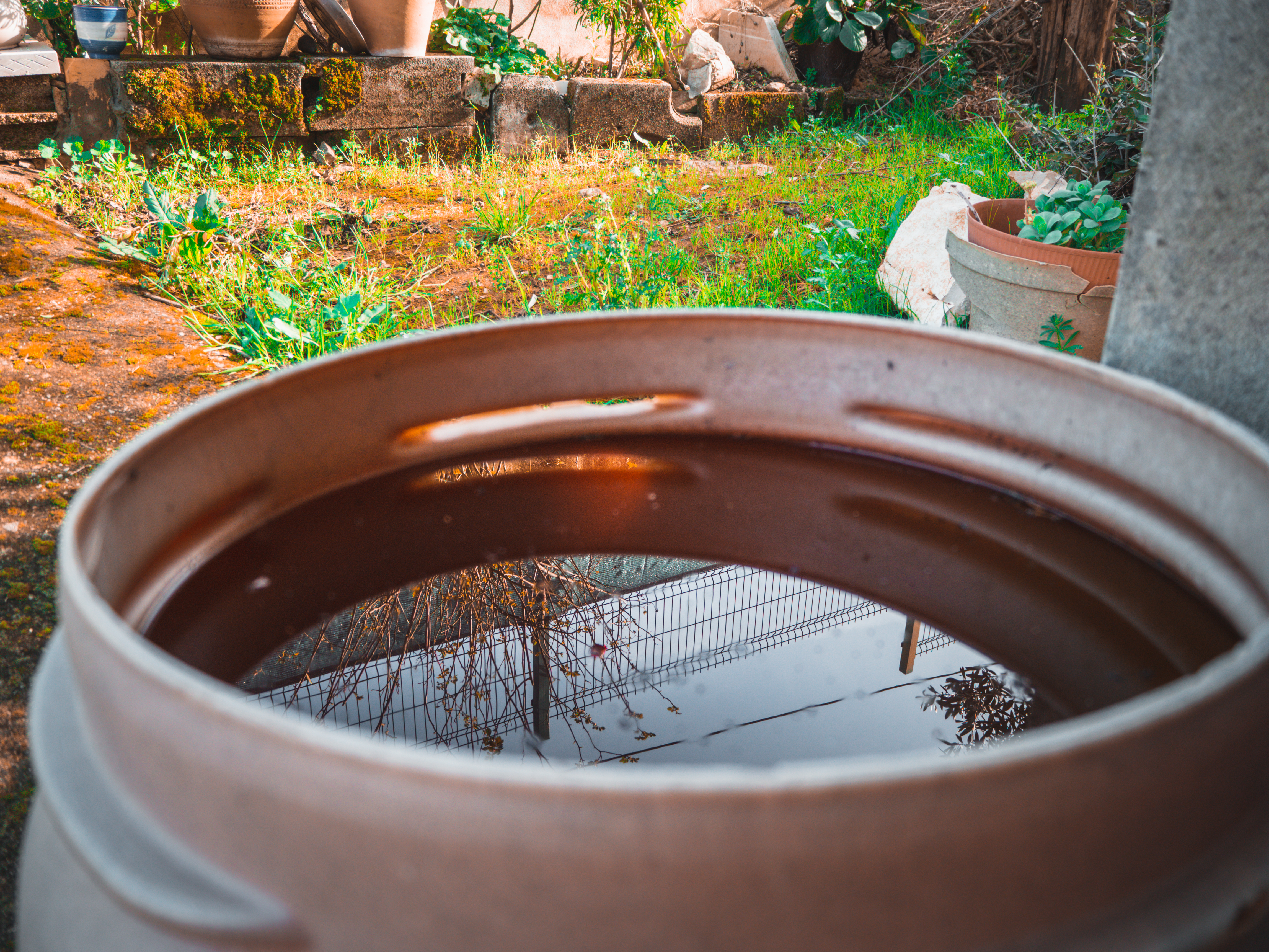 Récupérer son eau de pluie pour économiser l'eau du jardin