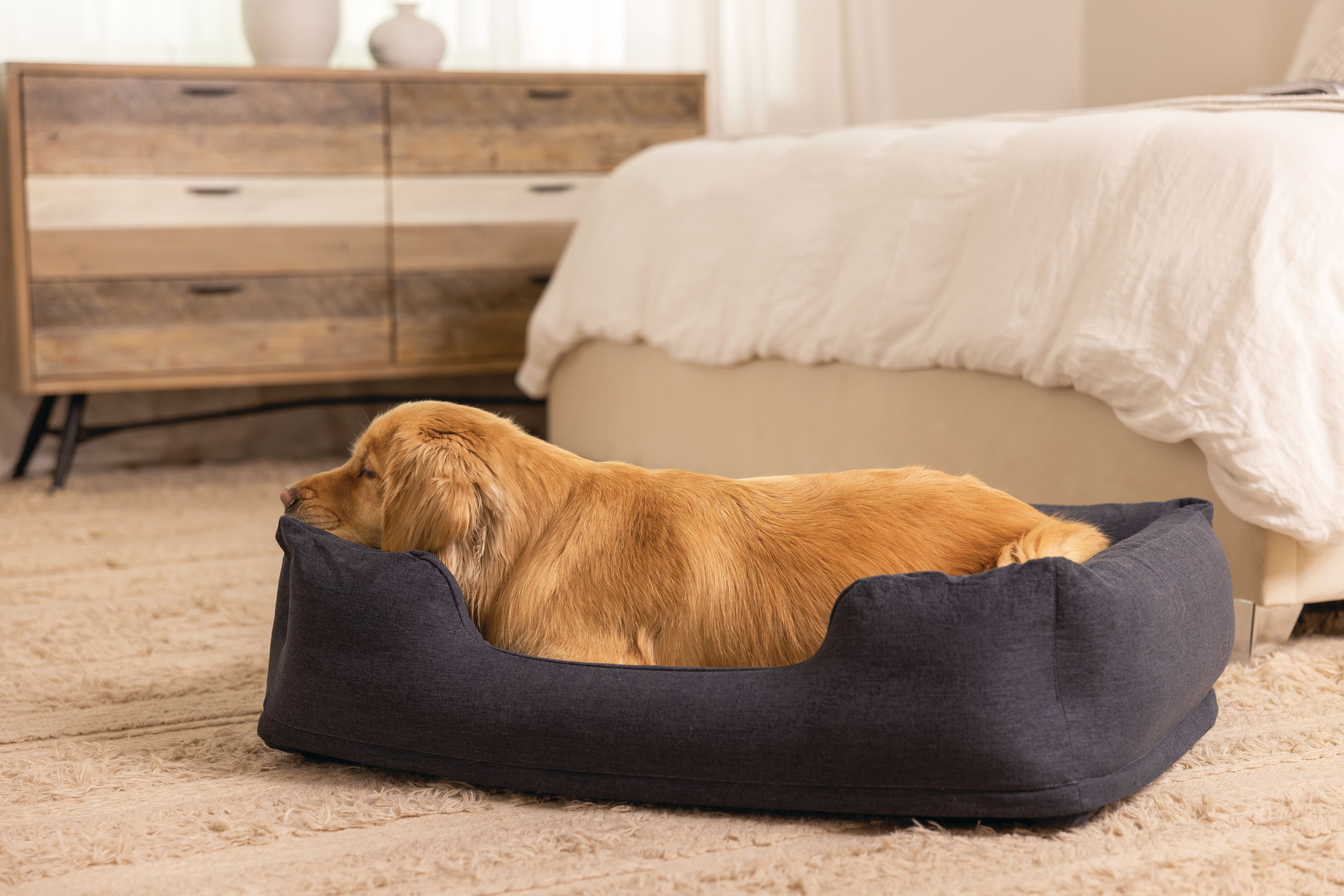 Un coussin gonflable pour chiens ultra resistant signé Intex