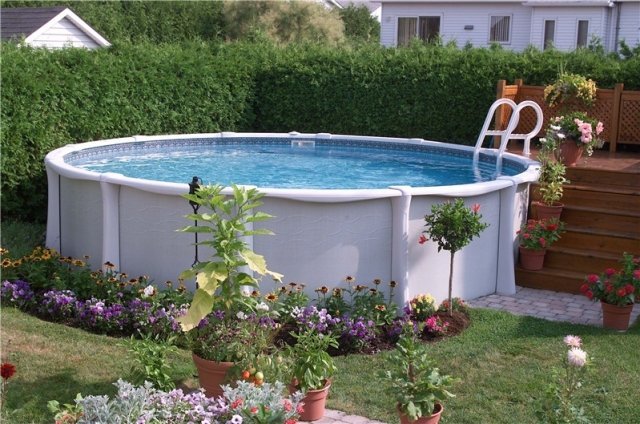 Planter des végétaux autour de sa piscine hors-sol