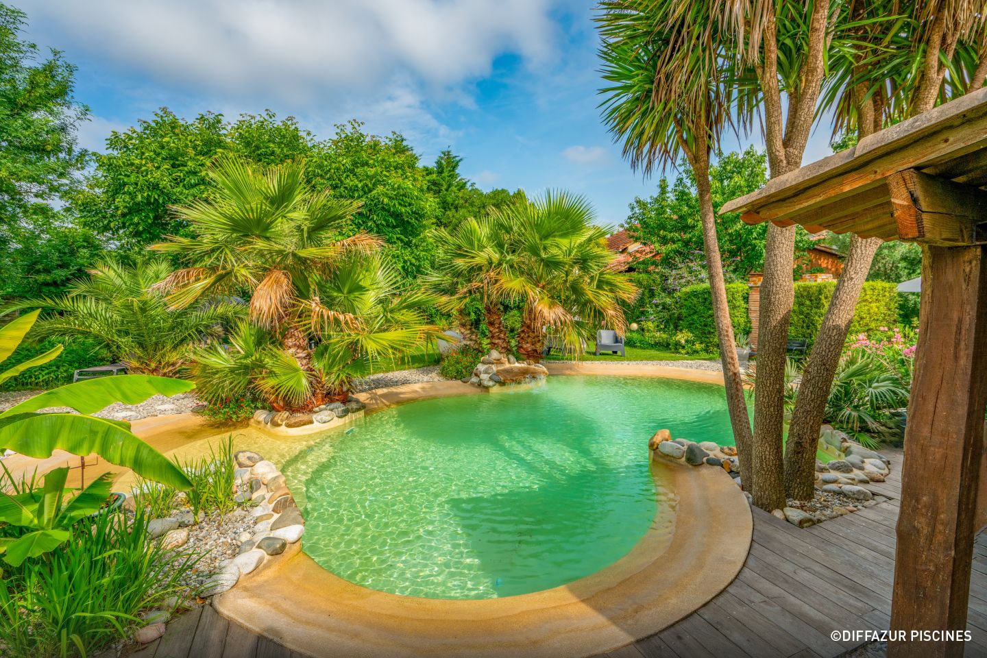 Piscine 40m2 forme libre trophee argent 2024