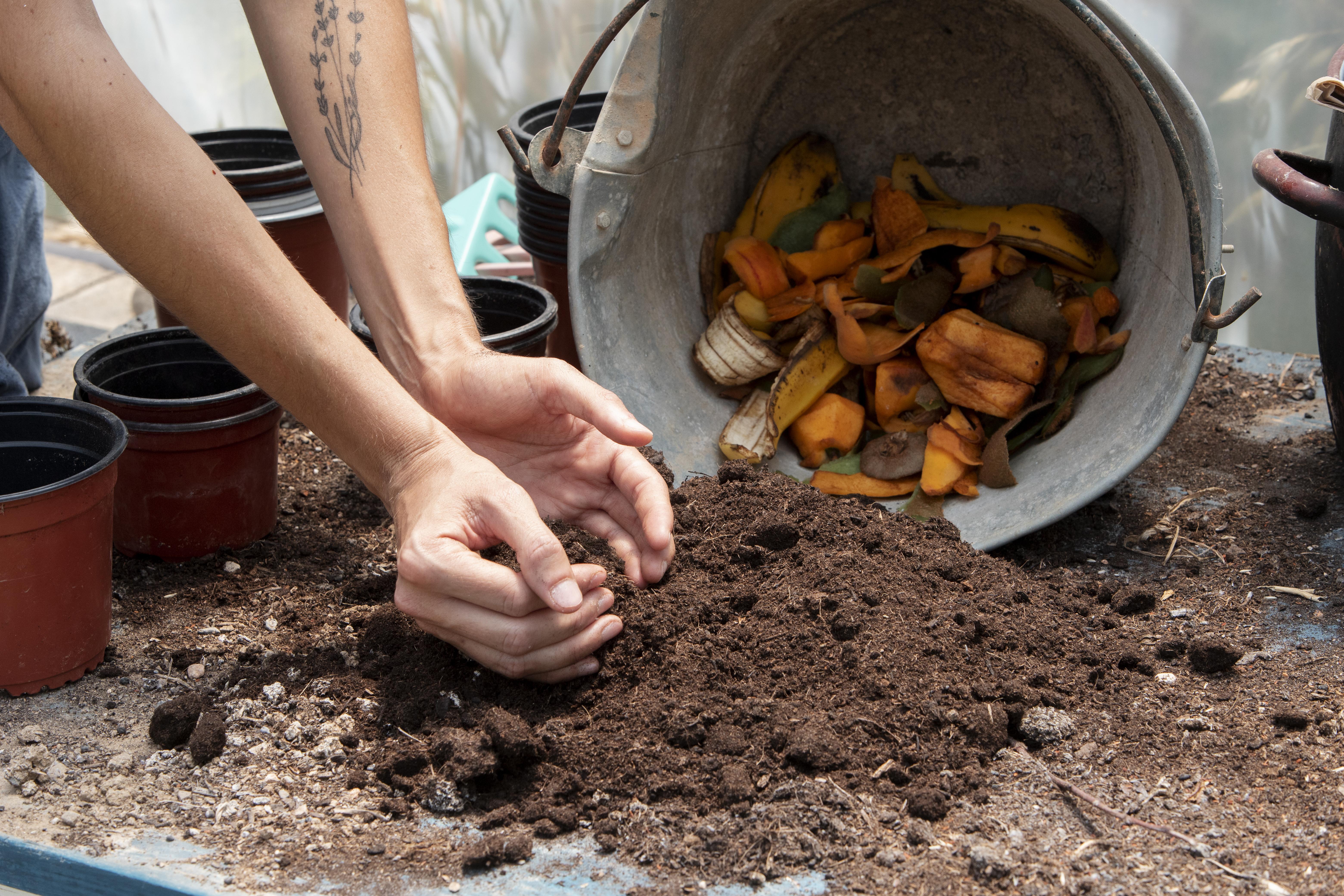 Le compost : une couche de fraîcheur naturelle pour le jardin
