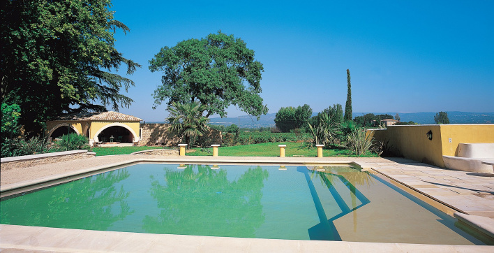 Une inspiration de piscine avec cet exemple de bain romain
