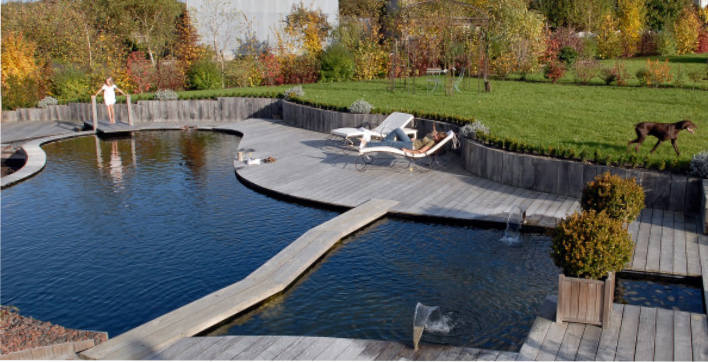 Une piscine naturelle construite par le nouveau concessionnaire Everblue