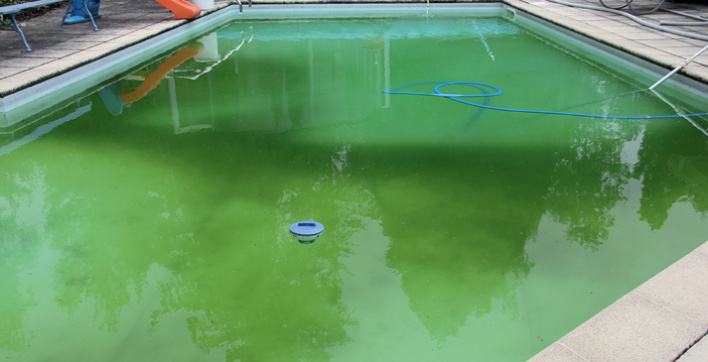 Une eau de piscine verte malgré un traitement au chlore stabilisé