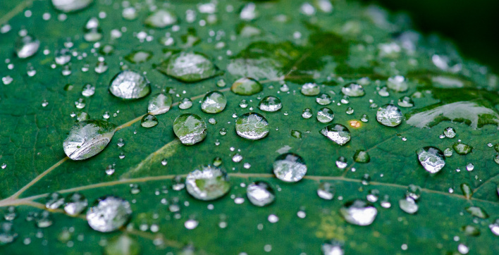 Récupérer les eaux de pluie : comment faire ?