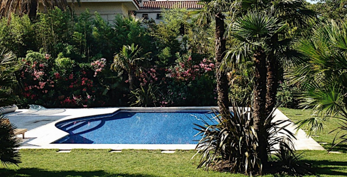 Rejeter l'eau de sa piscine sur ses plantes, bonne ou mauvaise idée ?