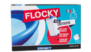 Flocky pour l'entretien des piscines hors-sol