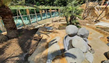 La piscine pour loutres rénovée du zoo de Palmyre