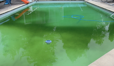 Une eau de piscine verte malgré un traitement au chlore stabilisé