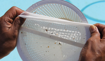 Poche filtrante pour skimmer
