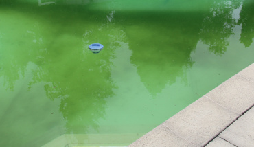 Lutter contre les algues qui rendent verte l'eau de sa piscine grâce au guide de traitement de l'eau Chemoform