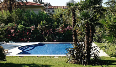 Rejeter l'eau de sa piscine sur ses plantes, bonne ou mauvaise idée ?