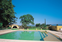 Une inspiration de piscine avec cet exemple de bain romain