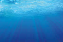 Désinfecter l'eau de sa piscine avec l'électrolyse au sel