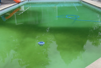 Une eau de piscine verte malgré un traitement au chlore stabilisé
