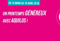 Les Aquifolies